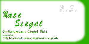 mate siegel business card